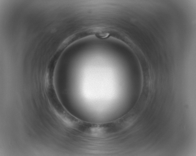 X0000082940216200702011314