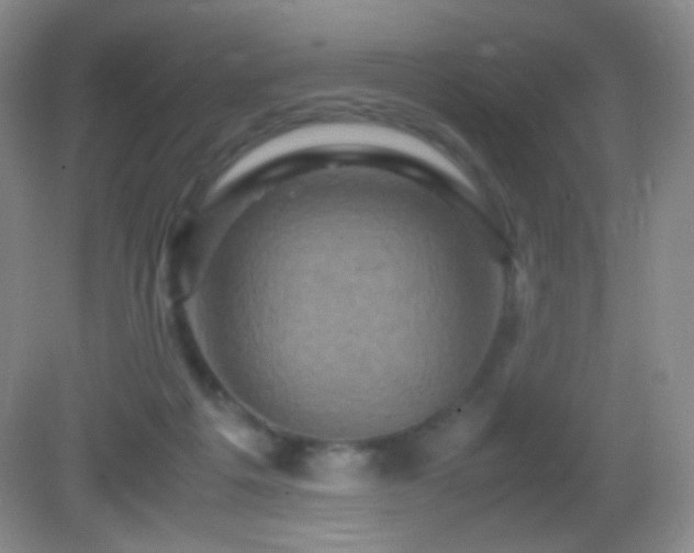 X0000082940217200702011314