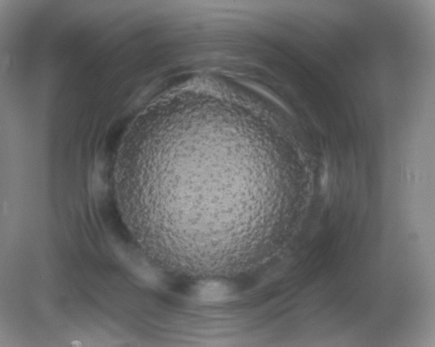 X0000082940218200702011314