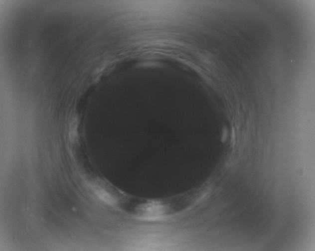 X0000082940219200702011314