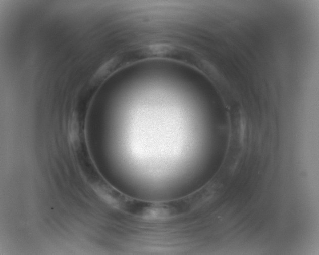 X0000082940220200702011314