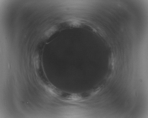 X0000082940223200702011314