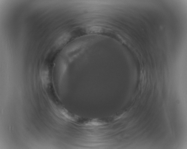 X0000082940224200702011314