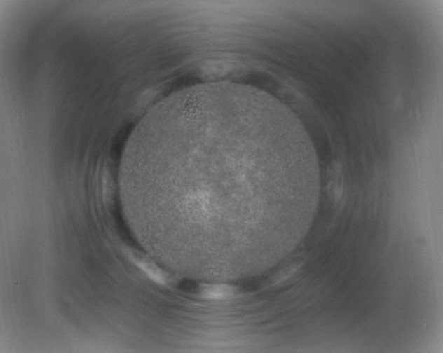X0000082940226200702011314