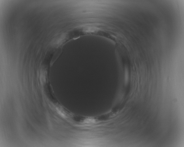 X0000082940227200702011314