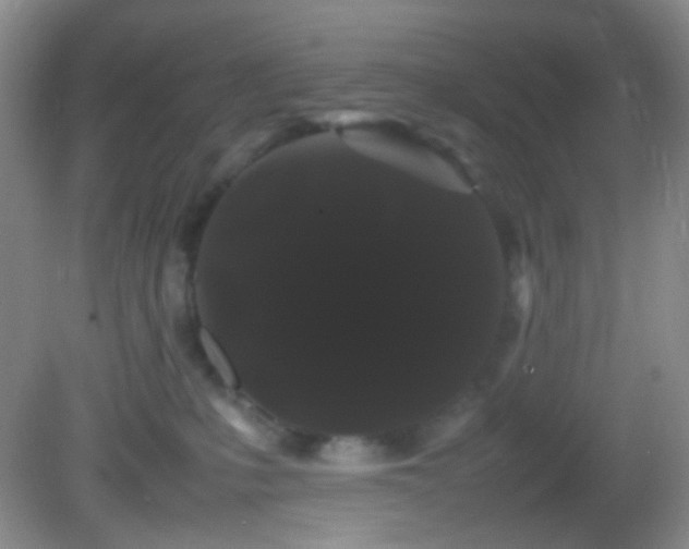 X0000082940231200702011314