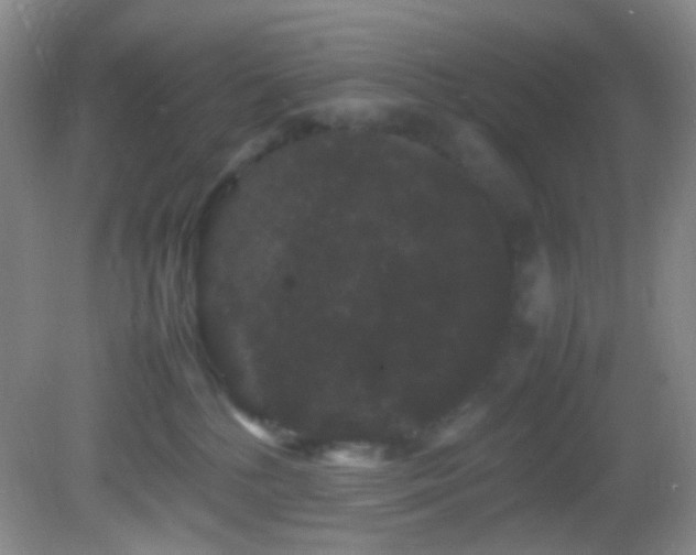 X0000082940232200702011314
