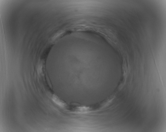 X0000082940233200702011314