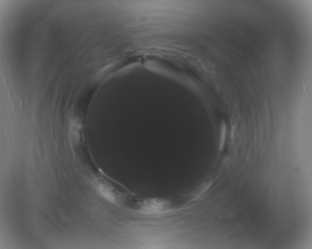 X0000082940235200702011314