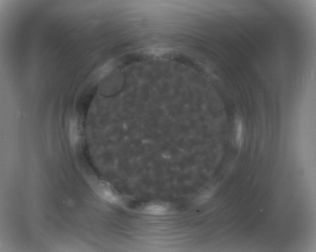 X0000082940236200702011314