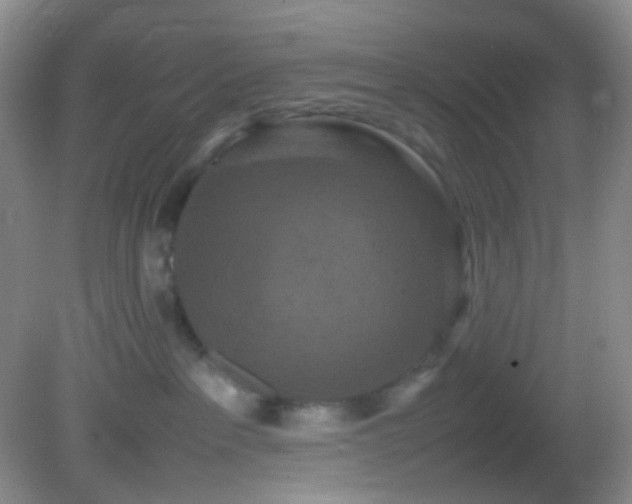 X0000082940237200702011314
