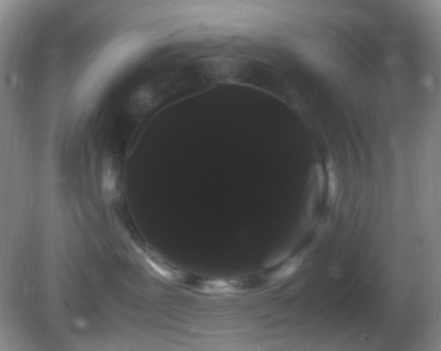 X0000082940239200702011314