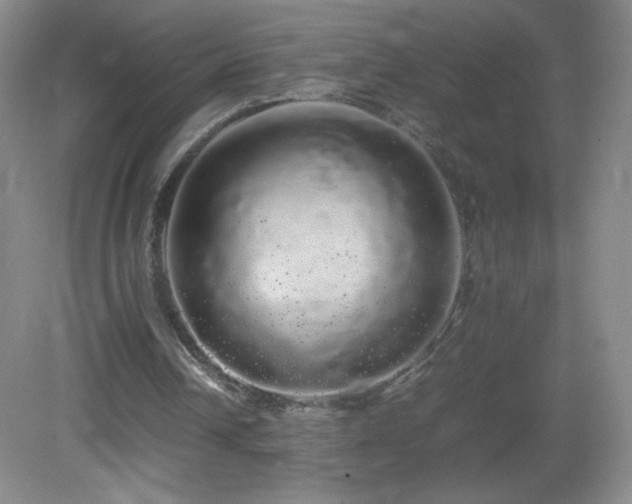 X0000082940242200702011313