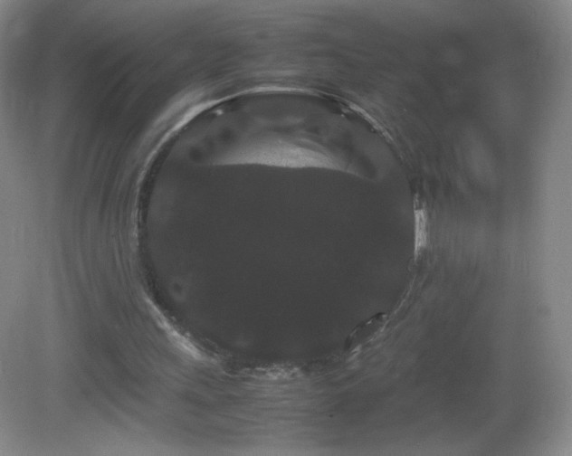 X0000082940243200702011313