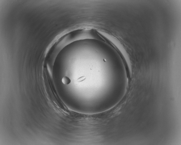 X0000082940244200702011313