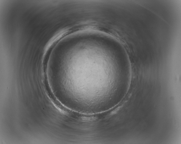 X0000082940245200702011313