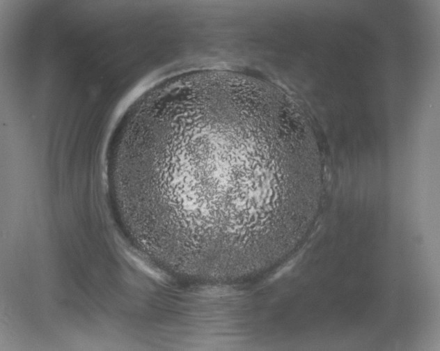 X0000082940246200702011313