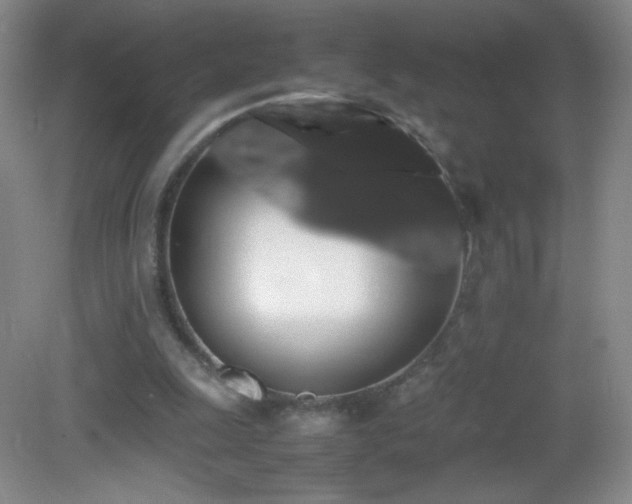 X0000082940247200702011313