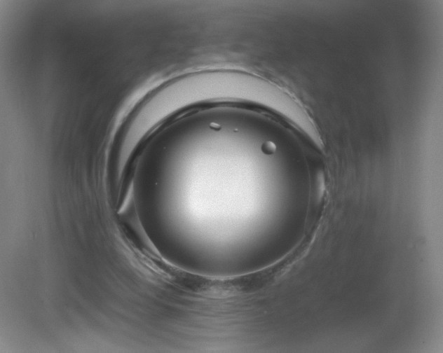 X0000082940248200702011313
