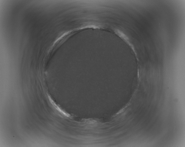 X0000082940249200702011313