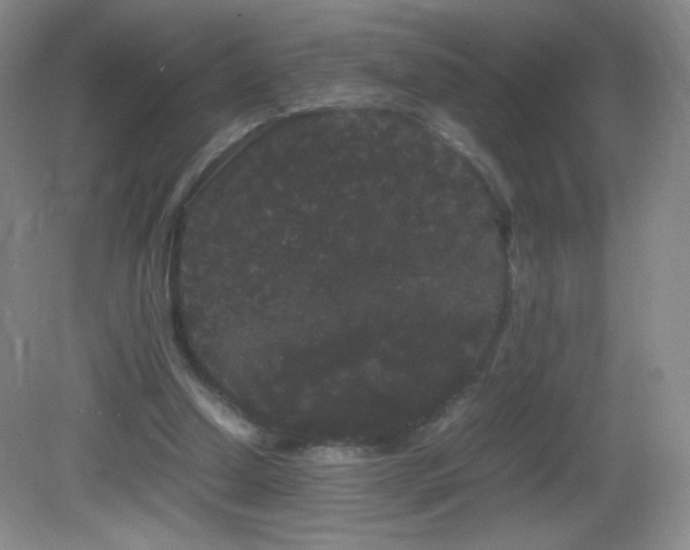 X0000082940250200702011313