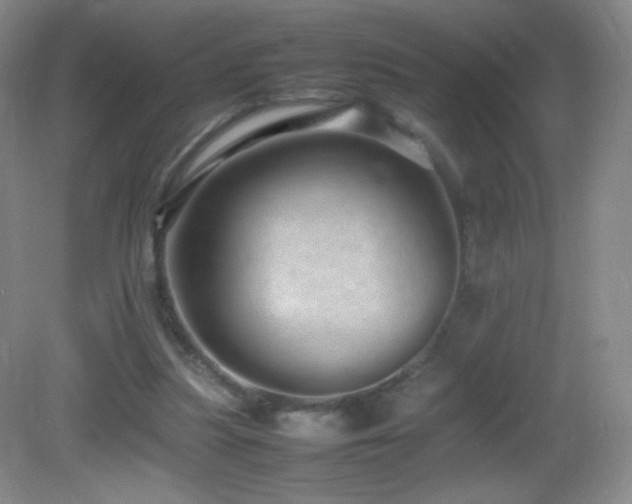 X0000082940251200702011313