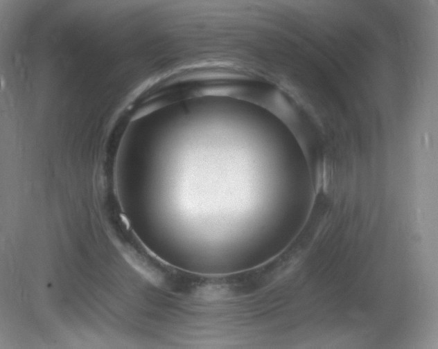 X0000082940252200702011313