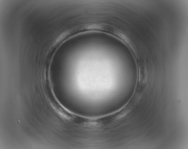 X0000082940253200702011313