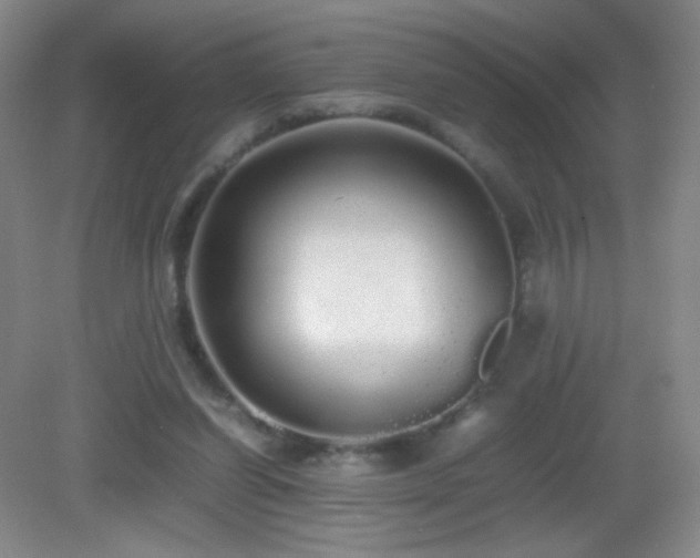 X0000082940254200702011313