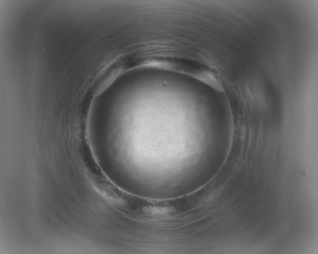 X0000082940255200702011313