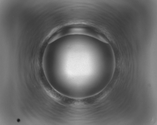 X0000082940256200702011313