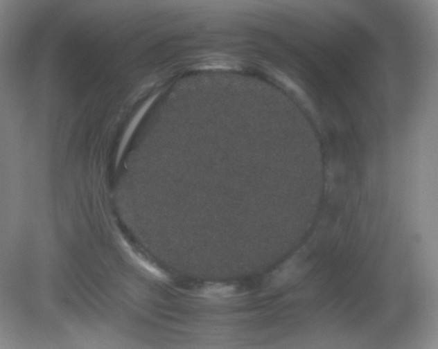 X0000082940257200702011313