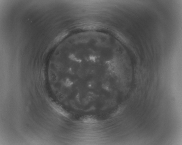 X0000082940258200702011313