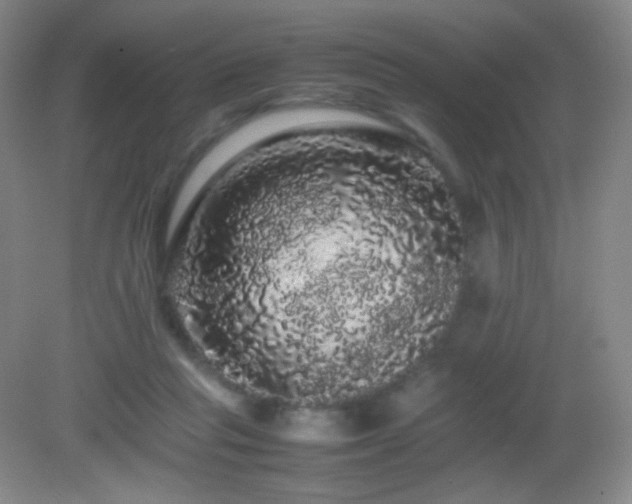X0000082940261200702011313