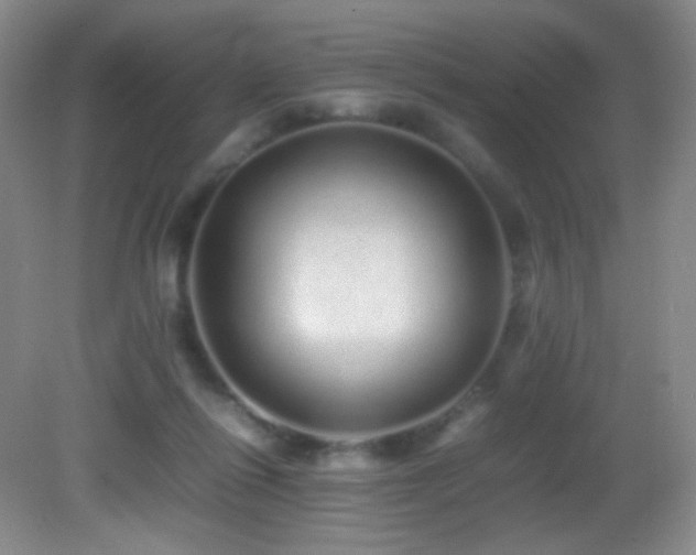 X0000082940262200702011313