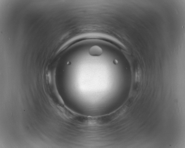 X0000082940264200702011313