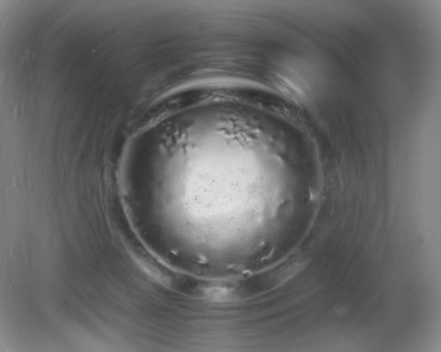 X0000082940265200702011313