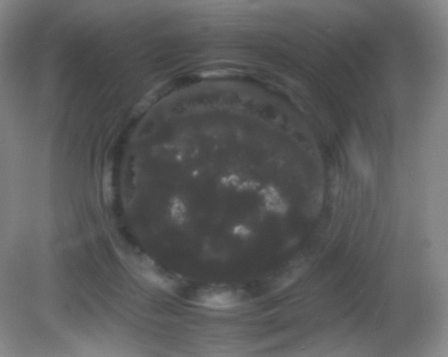 X0000082940267200702011313