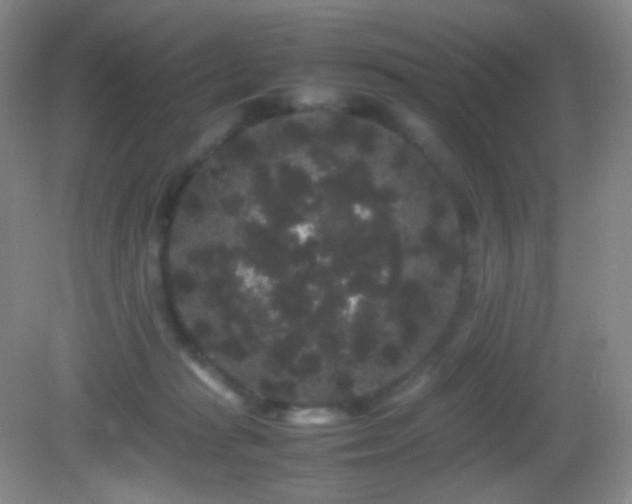 X0000082940269200702011313