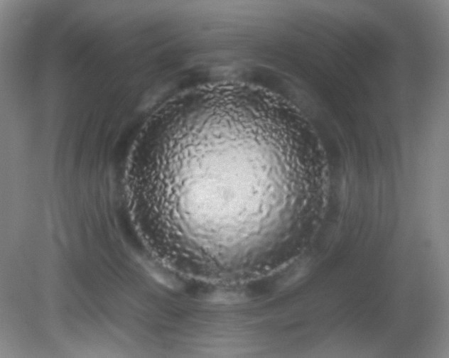 X0000082940270200702011313