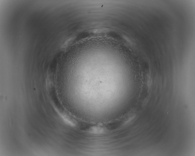 X0000082940272200702011313
