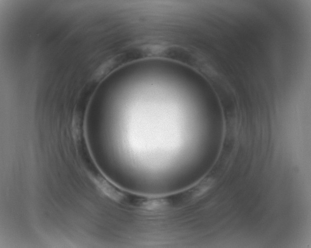 X0000082940274200702011313