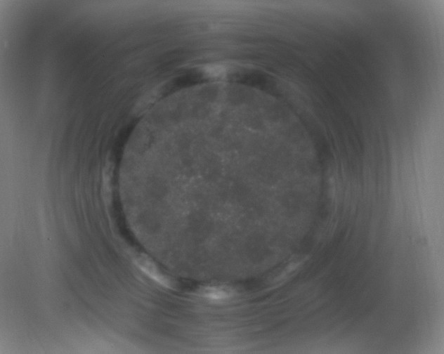 X0000082940275200702011313