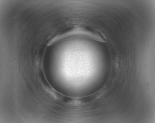 X0000082940276200702011313