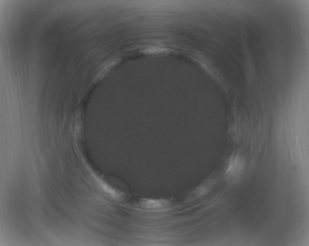 X0000082940277200702011313
