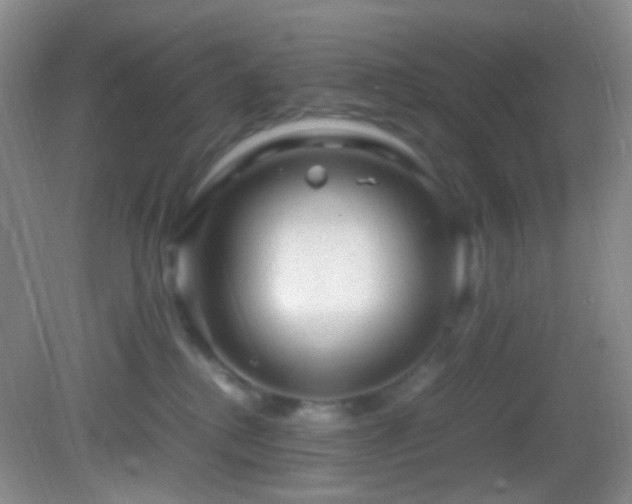 X0000082940280200702011313