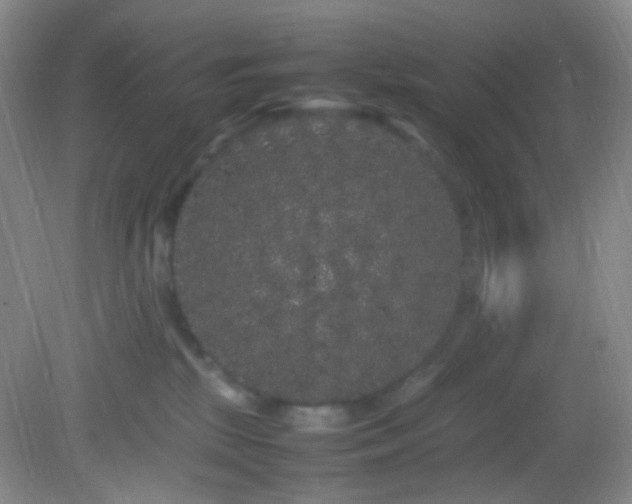 X0000082940281200702011313