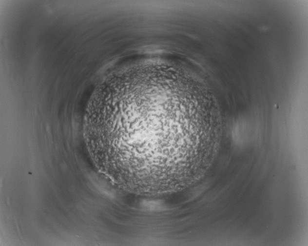 X0000082940283200702011313