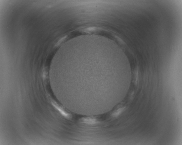 X0000082940284200702011313