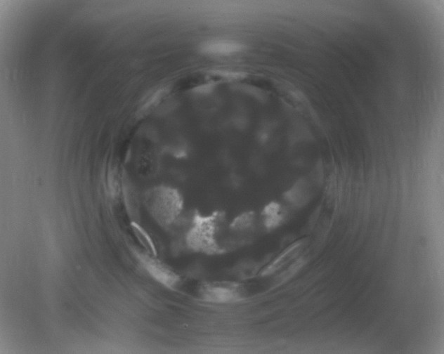 X0000082940285200702011314